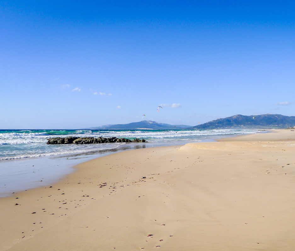 Nereide — Limpieza de playa — Tarifa Spirit Festival 2026